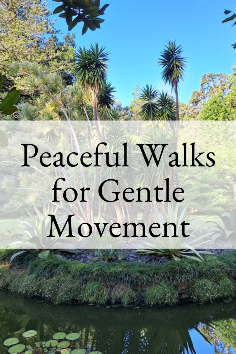 Walks Sydney A landscape photo of the Royal Botanic Gardens in Sydney. Transparent overlay says "Peaceful Walks for Gentle Movement"